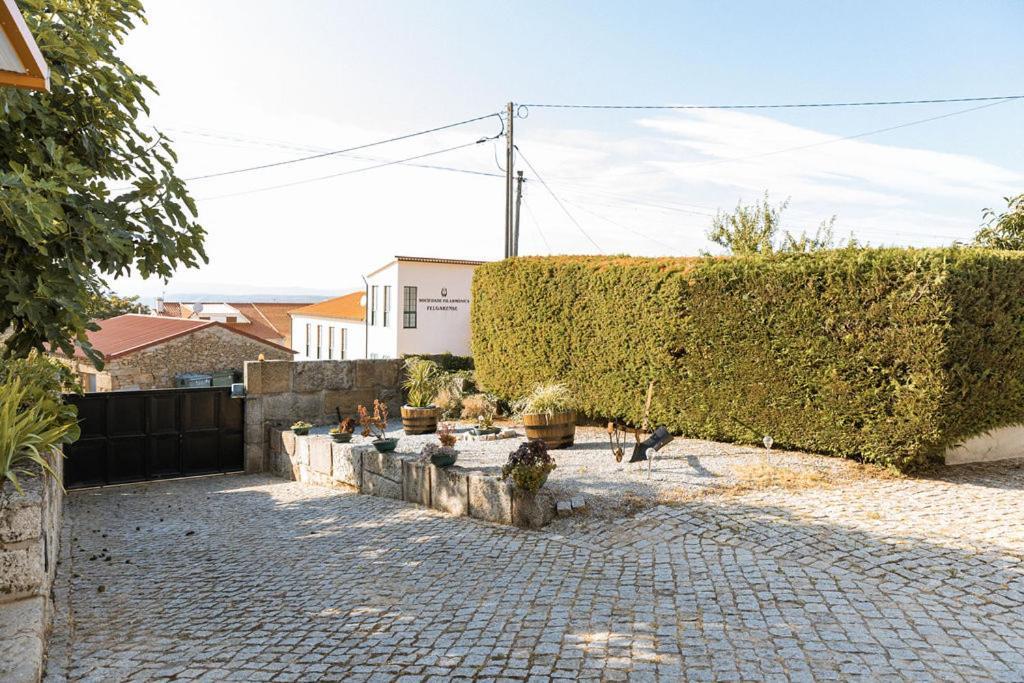 Quinta do Retiro Felgar Exterior foto
