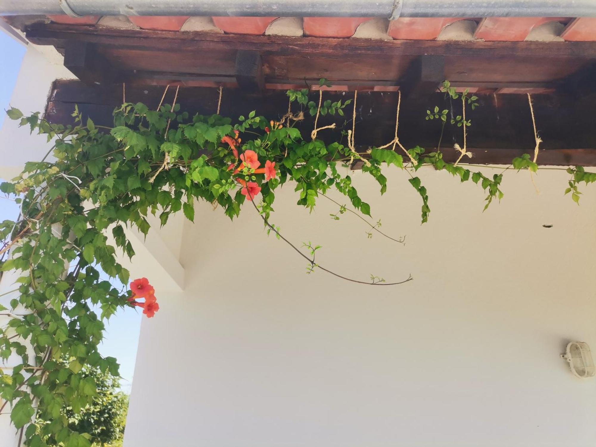 Quinta do Retiro Felgar Exterior foto
